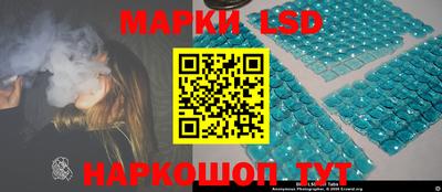 гидра Краснокаменск