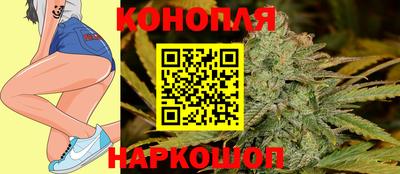 гидра Краснокаменск